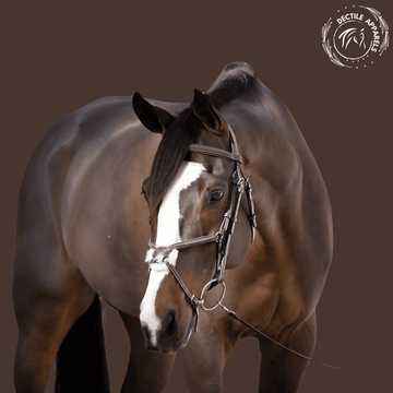 Horse Hunter Jumper Halter 3