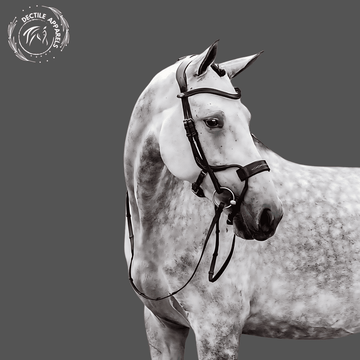 Black Prestige EquiFit Bridle