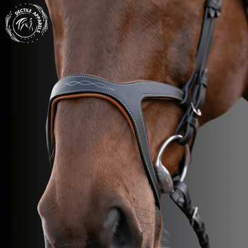 Horse Hunter Jumper Halter 2